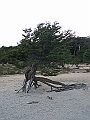 Patagonie 116